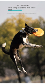 Bite-resistant Frisbee dog training Frisbee pet toy EVA floating interactive toy-Y