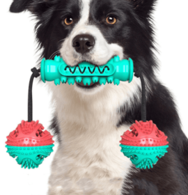 Dog Chew Toys Pet Toothbrush Rubber Bones Teeth Cleaning-T