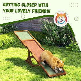 Dog Agility Ramp , Pet Seesaw-V