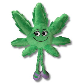 My Name is Mary Jane, Cute Stuffed Parody Marijuana Leaf Dog Toy, Funny Squeaky Weed Toy, Cool Plush Novelty 420 -K