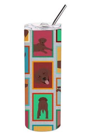 Lots of Chocolate Labrador Retriever Stainless Steel Skinny Tumbler Vacuum Double Walled Reusable Insulated Travel Cup for Coffee with Lid, 20 oz -L