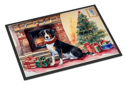 Appenzeller Sennenhund Cozy Christmas Doormat Front Door Mat Indoor Outdoor Rugs for Entryway, Non Slip Washable Low Pile, 24H X 36W -M