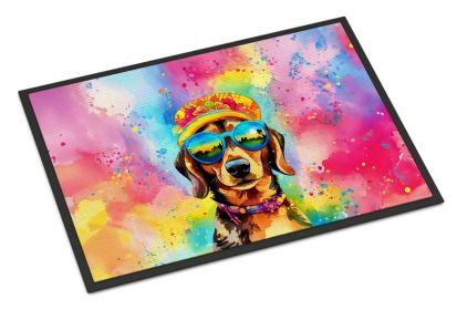 Dachshund Hippie Dawg Doormat Front Door Mat Indoor Outdoor Rugs for Entryway, Non Slip Washable Low Pile, 24H X 36W -C