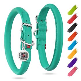 Ultra Soft Rolled Leather Dog Collar for S/M Dogs Soft Padded Dog Collars Male & Female Dog Collar 13-16 inch Neck Mint Color