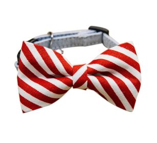 Adjustable Printed Small Dog  Neck Tie Gentleman Dog Collar 6-11 Inches
