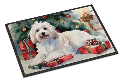 Coton De Tulear Cozy Christmas Doormat Front Door Mat Indoor Outdoor Rugs for Entryway, Non Slip Washable Low Pile, 24H X 36W -A