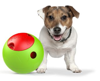 The Foobler Timed, Self Reloading Puzzle Feeder for Dogs Toy Ball-J