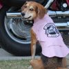Biker Dawg Pink