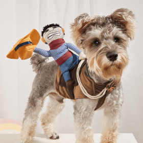 Cowboy Rider Pet Costume Funny Dog Costume For S/M Dogs & s Pet Clothes (Color: Mixed Color, size: M)
