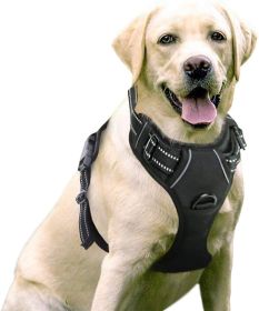 Dog Harness No-Pull Harness, 2 Leash Clips Adjustable Soft Padded Dog Vest Reflective No-Choke Pet Oxford Vest Easy Control Handle for Large Dogs (Color: Bright Pumpkin, size: large)