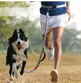 Hands Free Dog Leash for Medium & Large Dogs - Durable Dual Handle Waist Leash with Reflective Bungee for Running; Walking; Training; Hiking (colour: Aqua green-4211, Specification (L * W): 2.5*160cm)